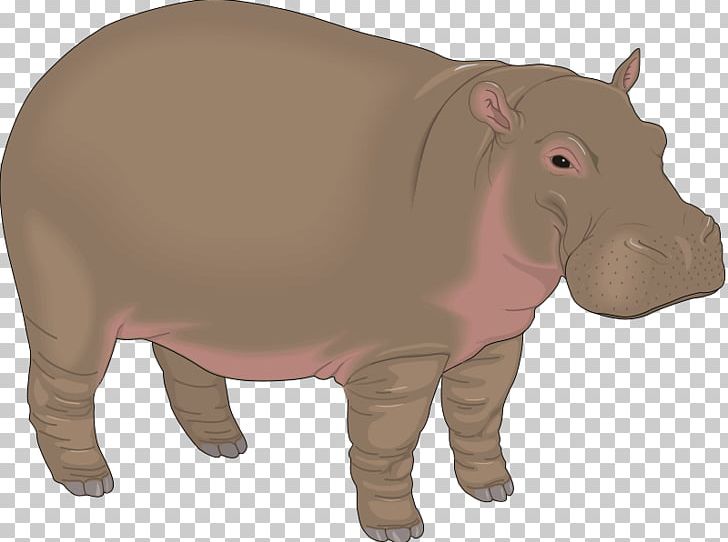 Hippopotamus Baby Hippos Free Content PNG, Clipart, Animals, Baby Hippos, Cartoon, Cuteness, Explosion Effect Material Free PNG Download