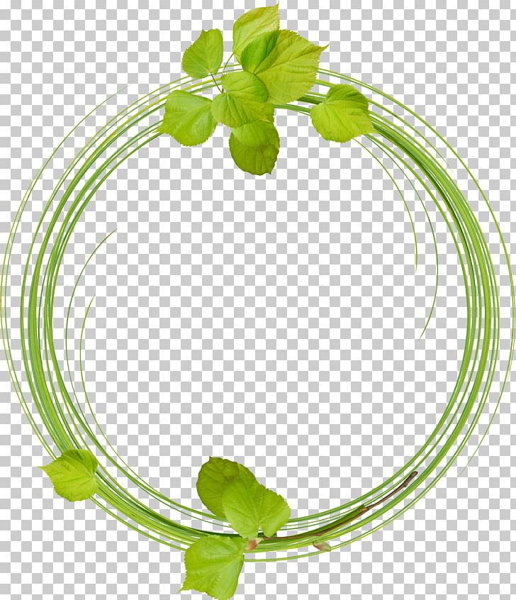 Leaves Ring PNG, Clipart, Autumn Leaves, Banana Leaves, Branches, Branches And Leaves, Circle Free PNG Download