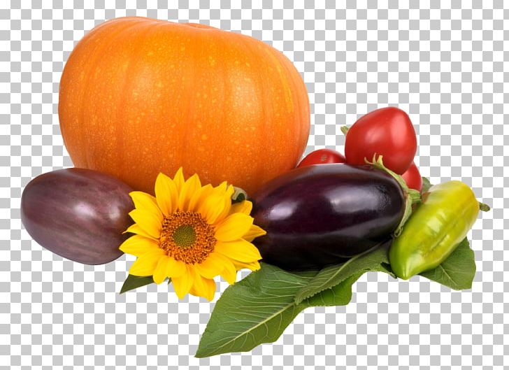Pumpkin Capsicum Annuum Vegetarian Cuisine Calabaza Eggplant PNG, Clipart, Capsicum, Capsicum Annuum, Cucumber Gourd And Melon Family, Cucurbita, Flower Free PNG Download