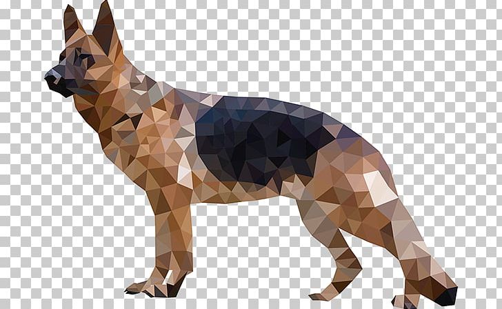 Dog Breed German Shepherd Snout Crossbreed PNG, Clipart, Breed, Carnivoran, Crossbreed, Dog, Dog Breed Free PNG Download