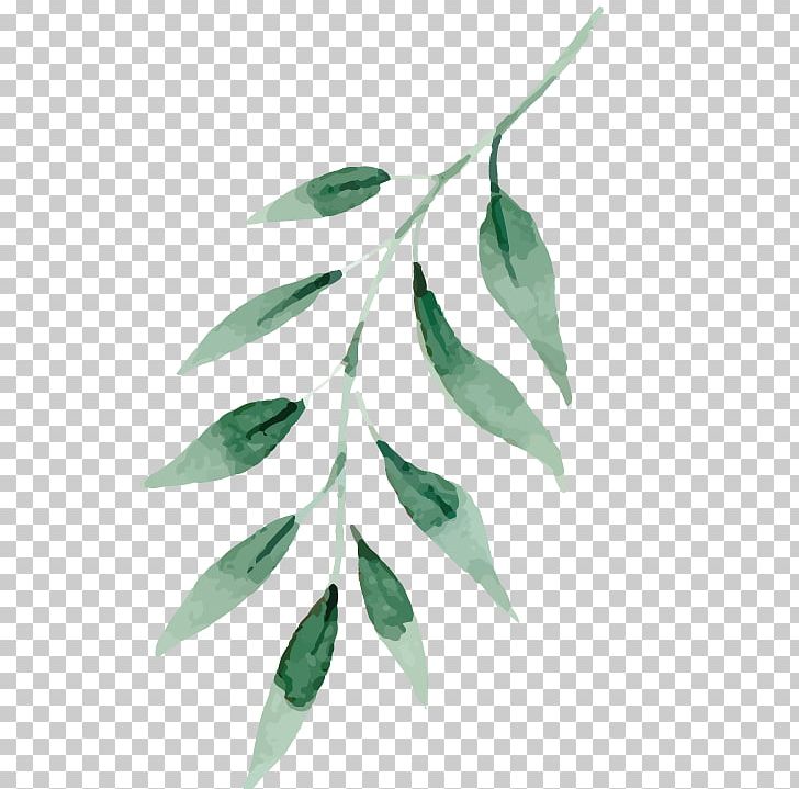 Watercolor Painting Drawing Art Leaf PNG, Clipart, Art, Branch, Drawing, Kala Ghoda, Leaf Free PNG Download