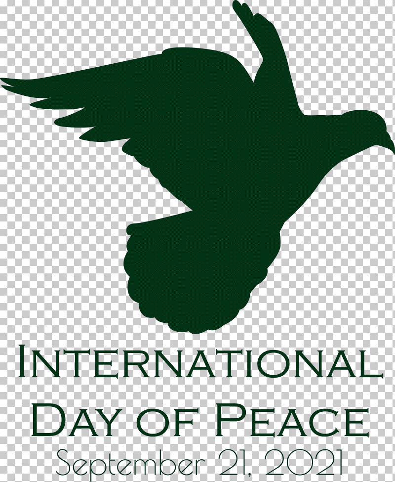 International Day Of Peace Peace Day PNG, Clipart, Beak, Birds, Copperplate Gothic, Duck, Green Free PNG Download