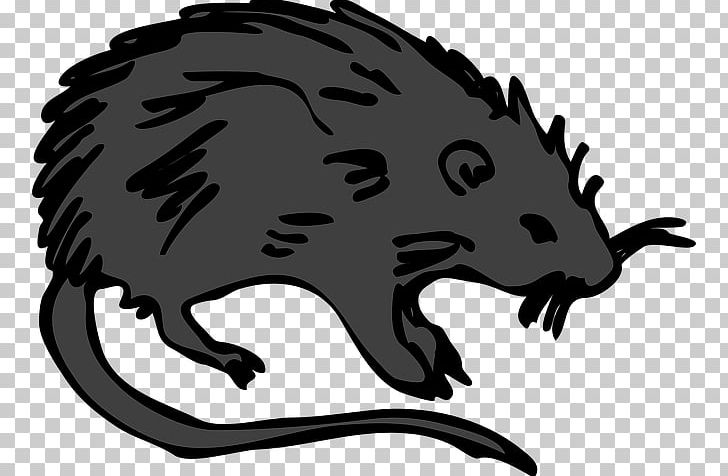 Brown Rat Mouse Rodent Laboratory Rat PNG, Clipart, Animals, Artwork, Black And White, Black Rat, Book Free PNG Download