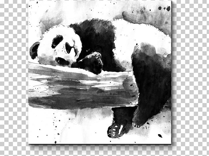 Giant Panda Bear Watercolor Painting Drawing Paper PNG, Clipart, Animals, Art, Bear, Black And White, Carnivoran Free PNG Download