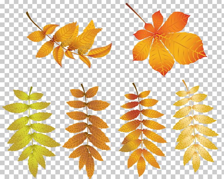 Autumn PNG, Clipart, Autumn, Autumn Leaves, Branch, Clipart, Clip Art Free PNG Download