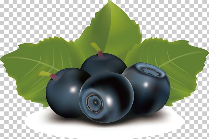 Juice Blueberry Fruit PNG, Clipart, Berry, Bilberry, Black Grapes, Blu, Cherry Free PNG Download