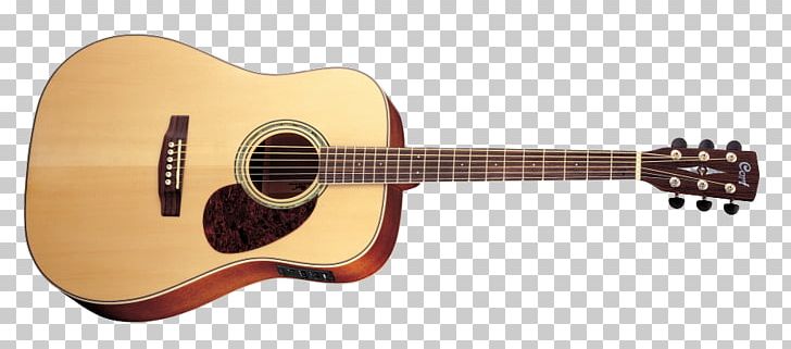 Steel-string Acoustic Guitar Cort Guitars Dreadnought PNG, Clipart, Archtop Guitar, Classical Guitar, Cuatro, Earth, Guitar Accessory Free PNG Download