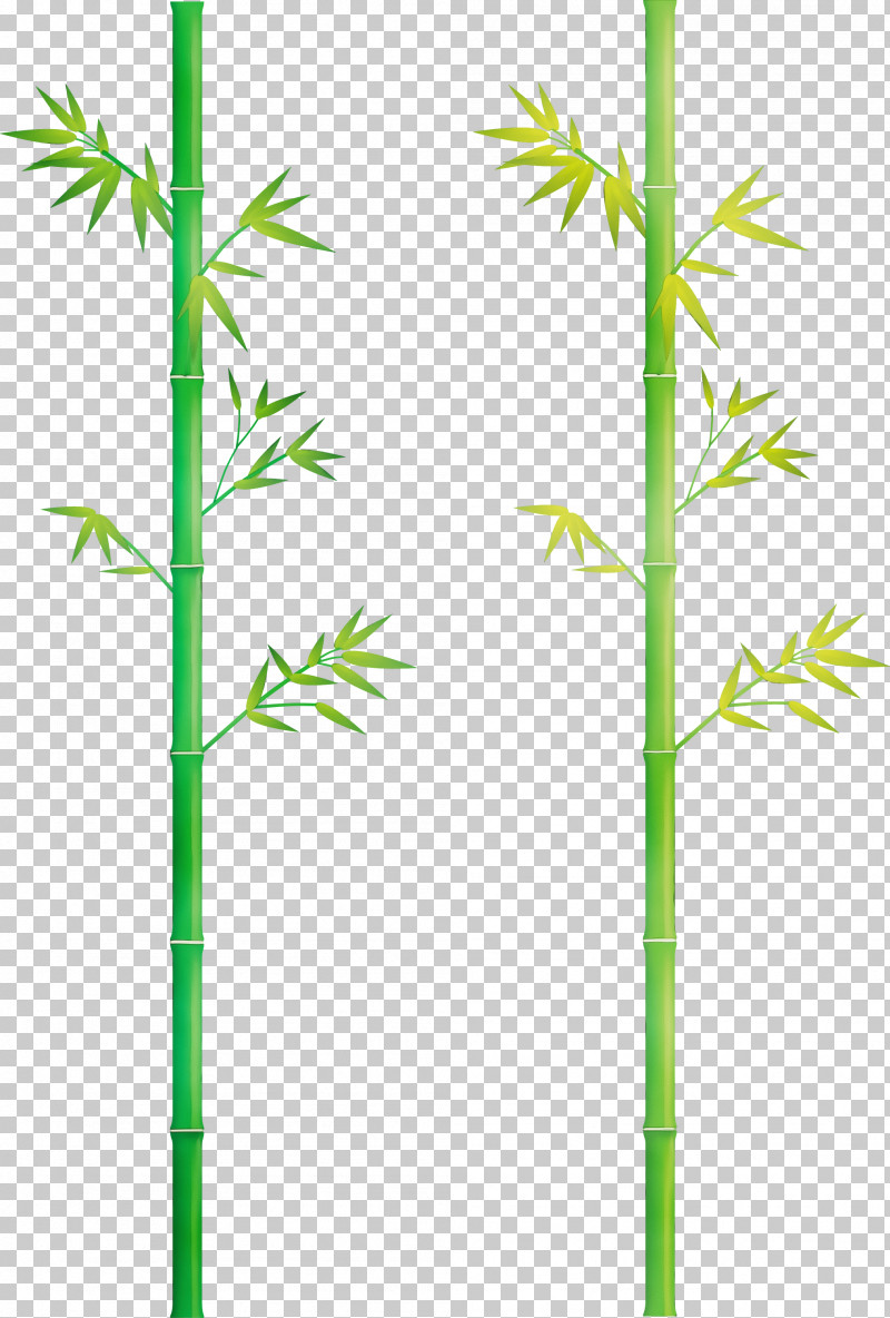 Plant Stem Plant Bamboo Grass Family American Larch PNG, Clipart, American Larch, Bamboo, Elymus Repens, Flower, Grass Family Free PNG Download