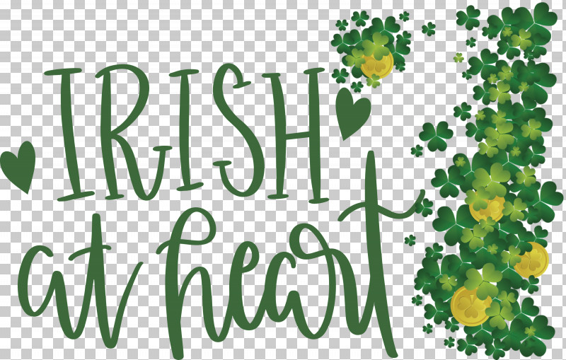 Shamrock Irish Saint Patrick PNG, Clipart, Branching, Family, Flora, Floral Design, Fruit Free PNG Download
