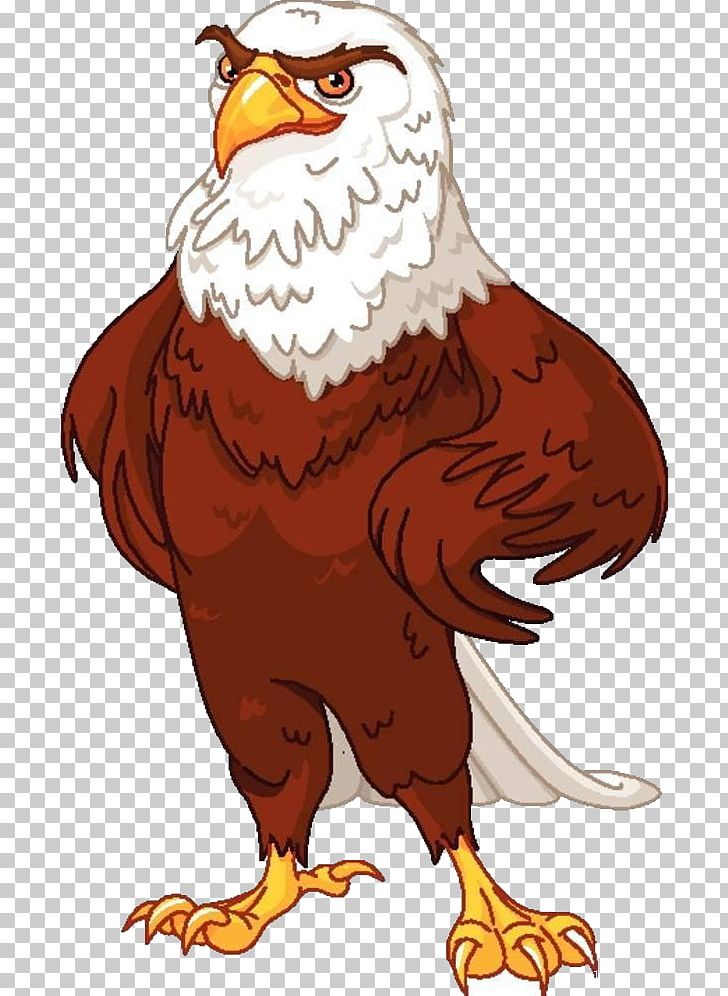 Bald Eagle PNG, Clipart, Animals, Art, Bald, Beak, Big Wings Free PNG Download