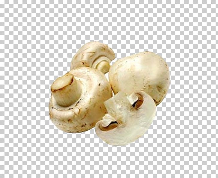 Common Mushroom Edible Mushroom PNG, Clipart, Agaricaceae, Black White, Champignon, Common Mushroom, Computer Icons Free PNG Download