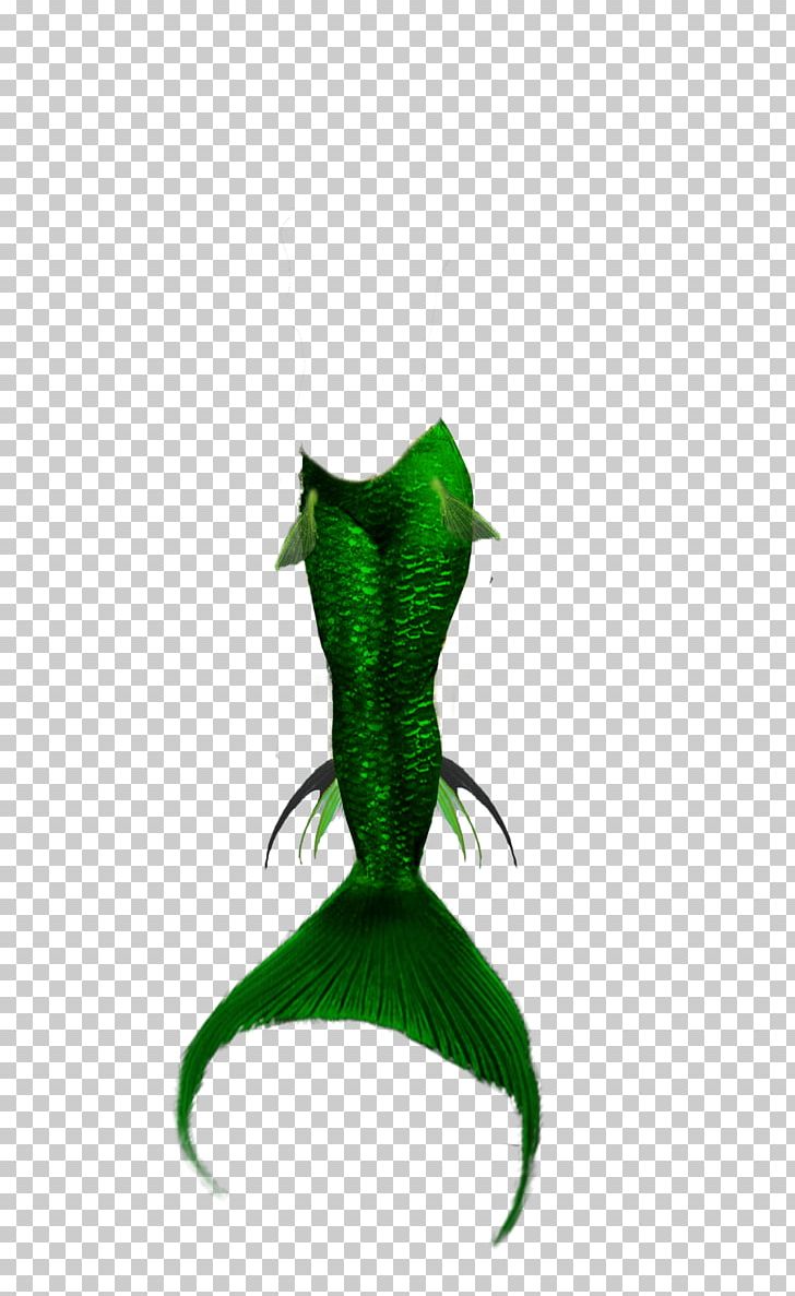 Green Legendary Creature PNG, Clipart, Fictional Character, Fish, Green, Green Tail, Legendary Creature Free PNG Download