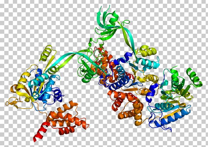 RuvB-like 1 Histone Nucleosome Protein RUVBL2 PNG, Clipart, 2 C, 9 O, Area, Art, Atpase Free PNG Download