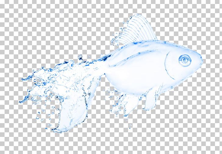Water Fish Stock Photography Illustration PNG, Clipart, Animals, Aquarium Fish, Drawing, Drinking Water, Drops Free PNG Download