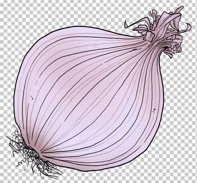 Shallot Onion Vegetable Red Onion Plant PNG, Clipart, Allium, Elephant Garlic, Food, Onion, Plant Free PNG Download
