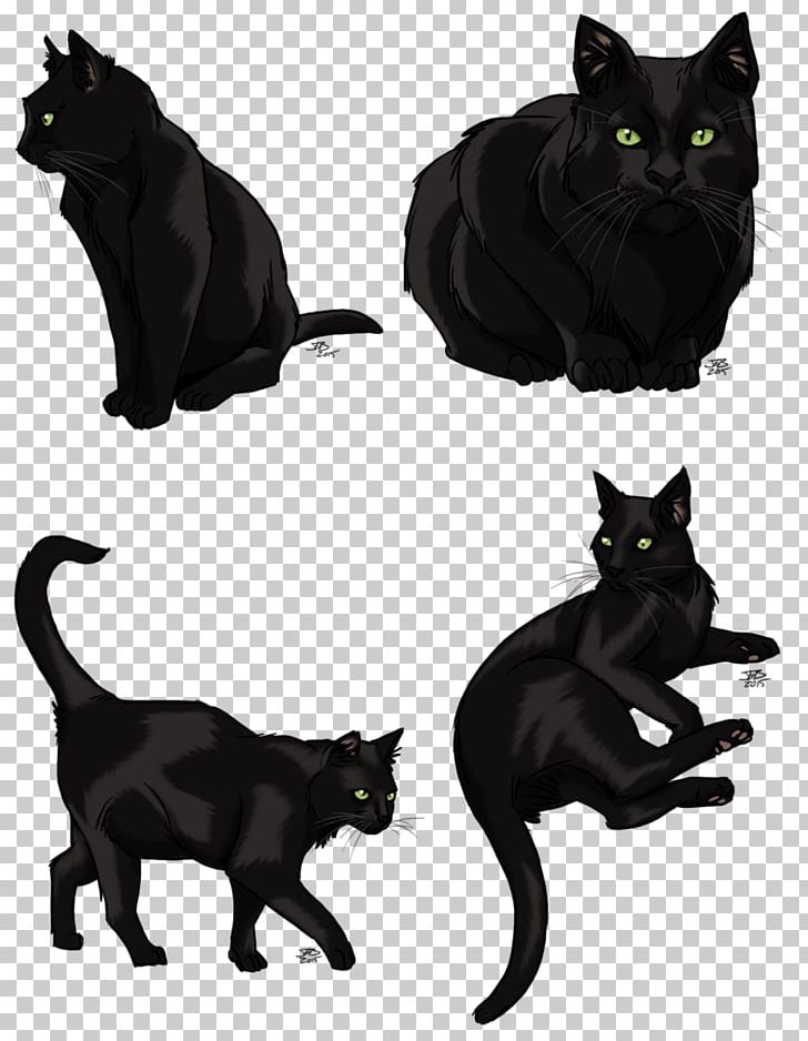 Black Cat Graphics Pet PNG, Clipart, Animals, Black Cat, Bombay, Burmese, Carnivoran Free PNG Download
