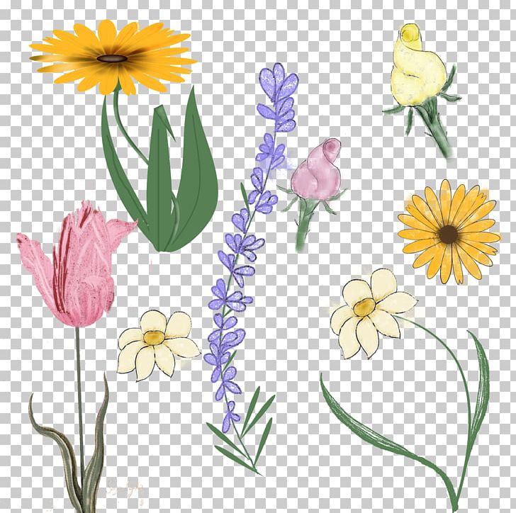 Floral Design Cut Flowers Plant Stem PNG, Clipart, Art, Cut Flowers, Daisy, Flora, Floral Design Free PNG Download