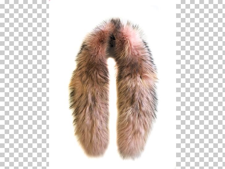 Fur Snout PNG, Clipart, Fur, Fur Clothing, Fur Collar Coat, Snout Free PNG Download