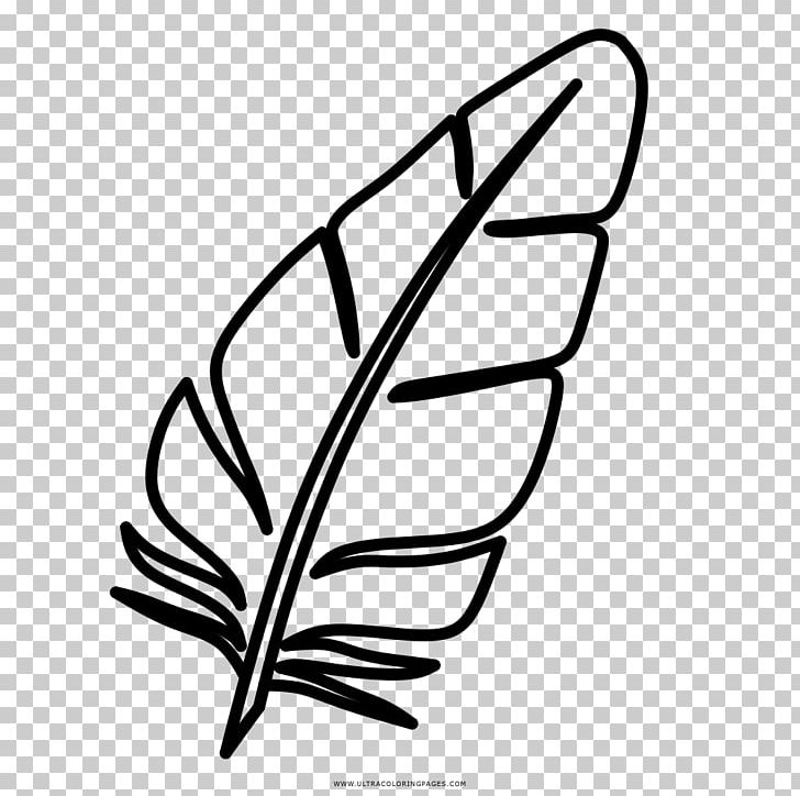 Line Art Plant Stem Leaf White PNG, Clipart, Artwork, Black And White, Branch, Branching, Flora Free PNG Download