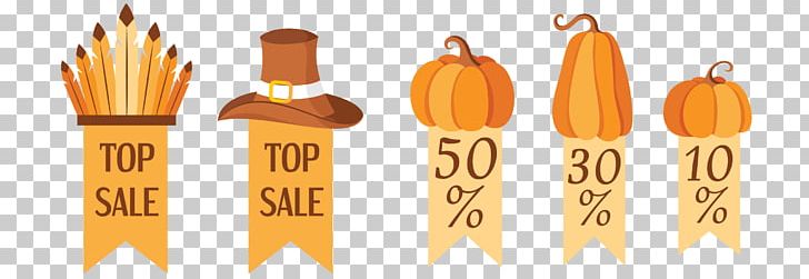 Thanksgiving Pumpkin PNG, Clipart, Adobe Illustrator, Brand, Christmas Decoration, Decorating Vector, Decoration Free PNG Download