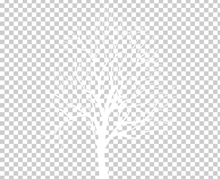 Twig Black And White Portable Network Graphics Silhouette PNG, Clipart, Black, Black And White, Branch, Computer Wallpaper, Desktop Wallpaper Free PNG Download