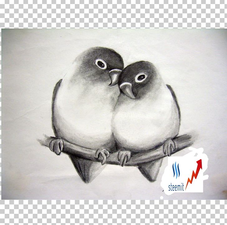 Drawing Pencil Art Love Sketch PNG, Clipart, Art, Art Museum, Arts, Artwork, Beak Free PNG Download