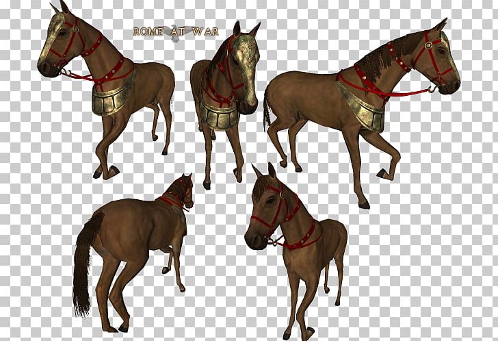 Mount & Blade: Warband Horse Stallion Foal PNG, Clipart, Animals, Carnivoran, Dog, Dog Breed, Dog Like Mammal Free PNG Download