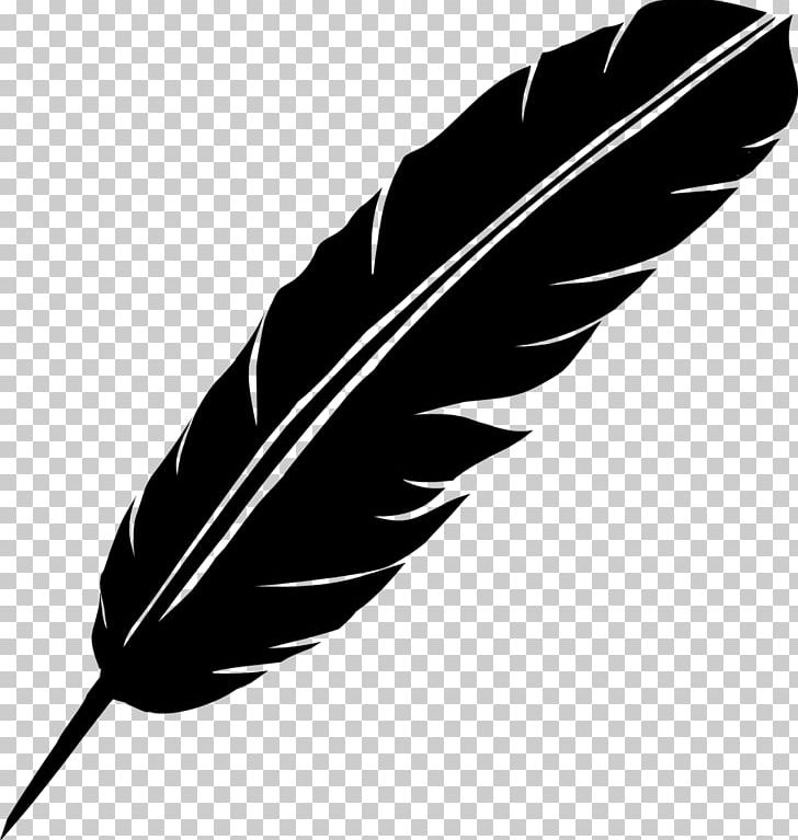 Feather Fusion Leadership Drawing Wanelo Takagari PNG, Clipart, Animals, Black And White, Drawing, Feather, Feathers Free PNG Download