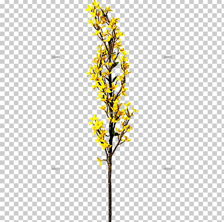 Twig Plant Stem Leaf Flowering Plant PNG, Clipart, Branch, Flower, Flowering Plant, Leaf, Plant Free PNG Download