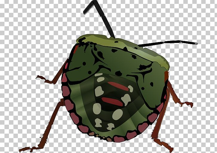 Beetle Brown Marmorated Stink Bug PNG, Clipart, Bag, Beetle, Brown Marmorated Stink Bug, Computer Icons, Download Free PNG Download