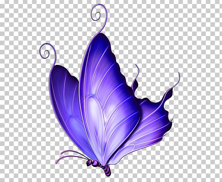 Butterfly Pink PNG, Clipart, Butterfly, Clip Art, Color, Desktop Wallpaper, Display Resolution Free PNG Download