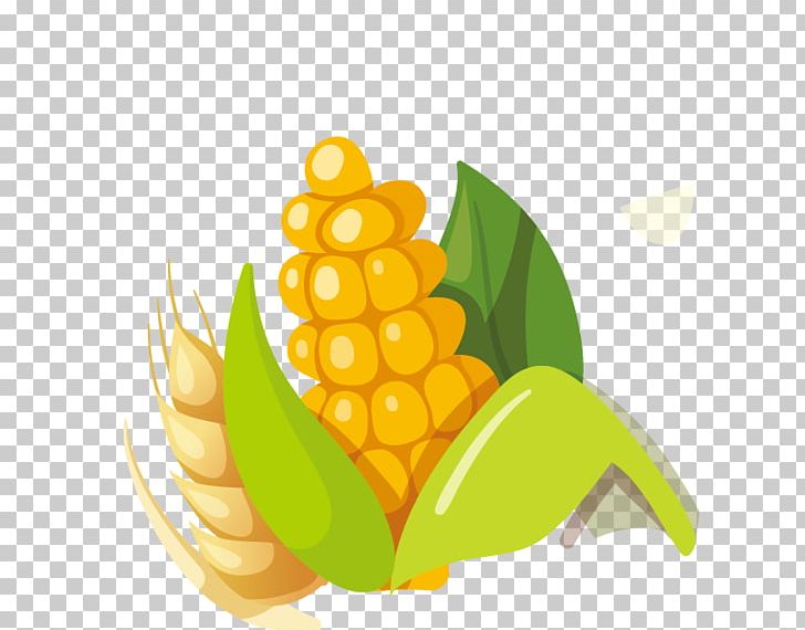 Corn On The Cob Maize Corn Kernel PNG, Clipart, Animation, Bromeliaceae, Cartoon Corn, Commodity, Computer Wallpaper Free PNG Download