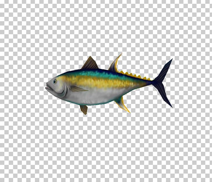 thunnus sardine mackerel fish products milkfish png clipart 09777 animals bonito bony fish category free png imgbin com