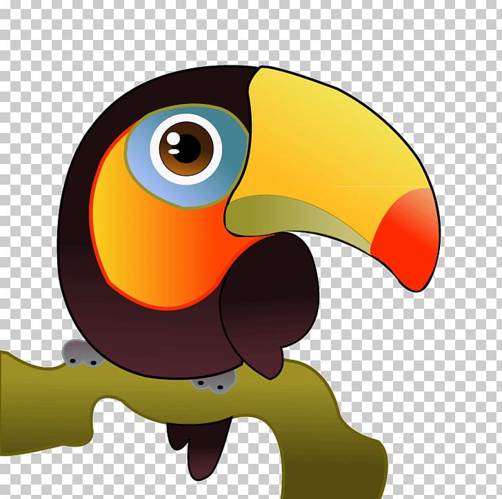 Toco Toucan Bird PNG, Clipart, Animals, Beak, Bird, Drawing, Fauna Free PNG Download