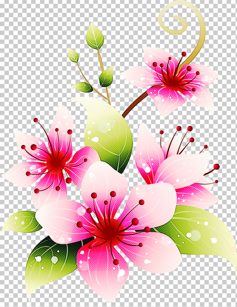 Lily Flower PNG, Clipart, Blossom, Cherry Blossom, Cut Flowers, Drawing, Floral Design Free PNG Download