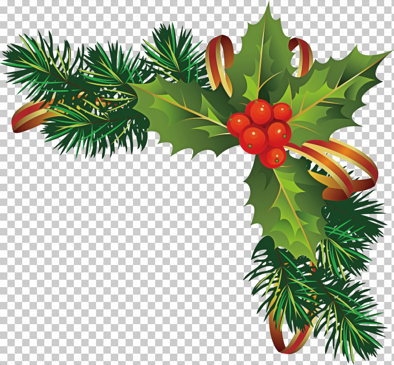 Christmas Decoration PNG, Clipart, Branch, Christmas Decoration, Christmas Eve, Colorado Spruce, Conifer Free PNG Download