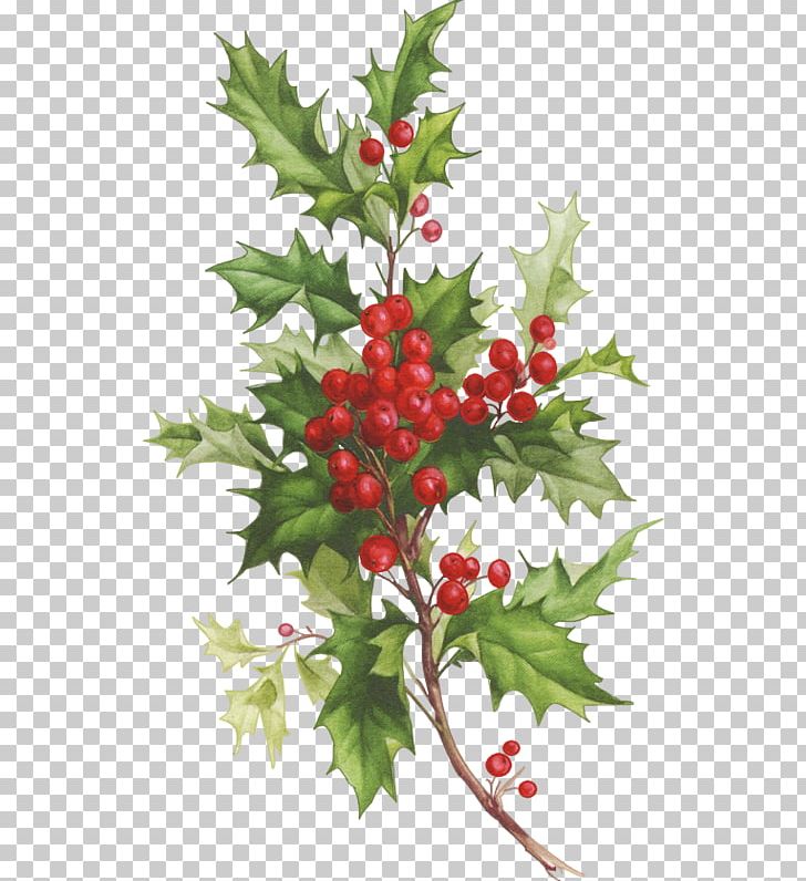 Santa Claus Desktop Père Noël Christmas Bombka PNG, Clipart, Berries, Christmas, Desktop Wallpaper, Pere Noel, Red Free PNG Download