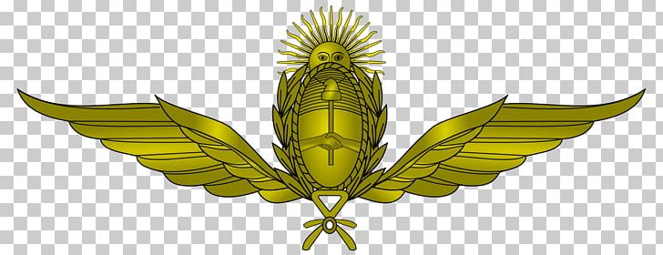 Argentina Argentine Air Force Military Armed Forces Of The Argentine Republic PNG, Clipart, Argentina, Argentine Air Force, Aviation, Branch, Commodity Free PNG Download