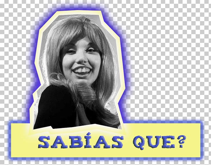 Dana International Eurovision Song Contest 1979 Spain Eurovision Song Contest 1980 PNG, Clipart, Blue, Brand, Eurovision Song Contest, Facial Expression, Girl Free PNG Download