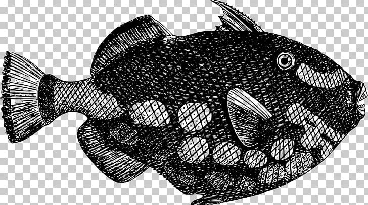 Deep Sea Fish PNG, Clipart, Animals, Black And White, Computer Icons, Deep Sea, Deep Sea Fish Free PNG Download