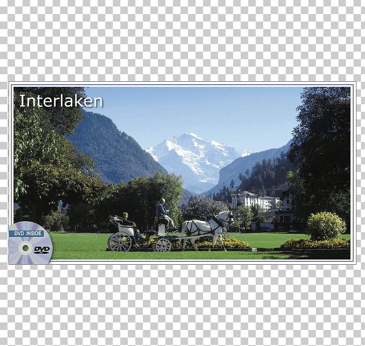 Interlaken Grindelwald Lake Thun Wengen Chalet-Gafri PNG, Clipart, Alps, Bernese Highlands, Grass, Grindelwald, Highland Free PNG Download