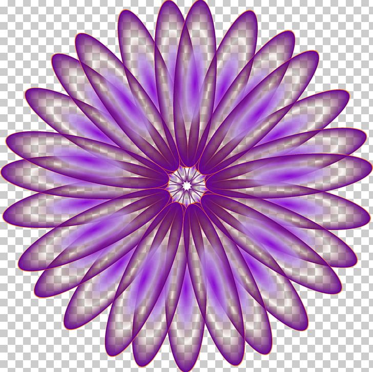 Media PNG, Clipart, Aster, Chrysanths, Dahlia, Daisy Family, Disc Jockey Free PNG Download