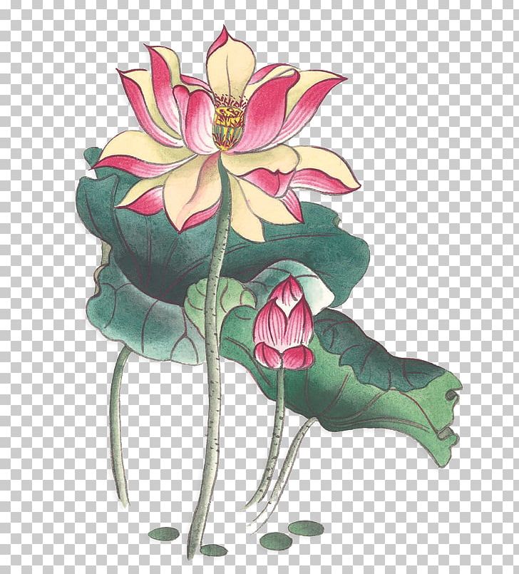 Nelumbo Nucifera Ink Wash Painting Watercolor Painting Chinoiserie PNG, Clipart, Chinese Painting, Fictional Character, Flower, Flower Arranging, Gongbi Free PNG Download