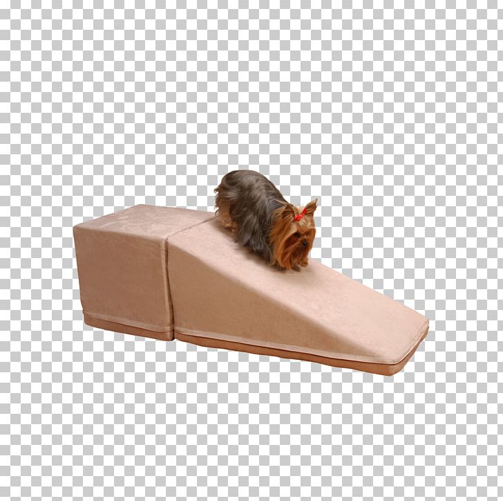 Pet Cat Tree Bed Furniture PNG, Clipart, Animals, Bed, Box, Cat, Cat Tree Free PNG Download