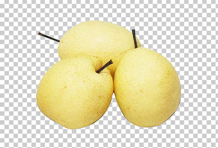 Asian Pear China Pyrus Xd7 Bretschneideri Pyrus Nivalis Fruit PNG, Clipart, Apple, Apple Pears, Asian Pear, China, Citrus Free PNG Download