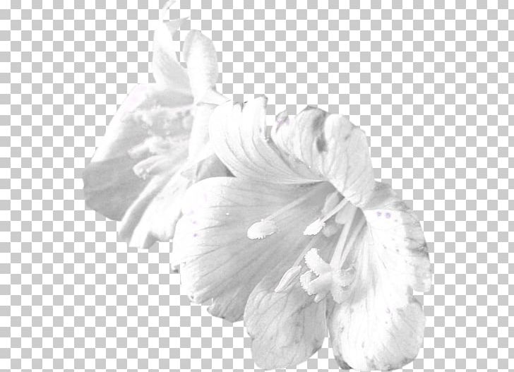 Cut Flowers Petal Animated Film PNG, Clipart, Animated, City, Confidentiality, Dort, Flower Free PNG Download