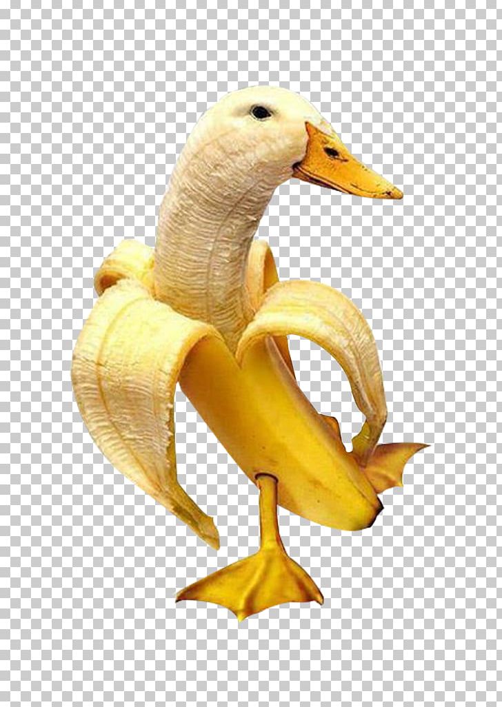 Duck Goose Breakfast Banana Food PNG, Clipart, Anatidae, Banana Chips, Banana Leaf, Banana Leaves, Banana Milk Free PNG Download