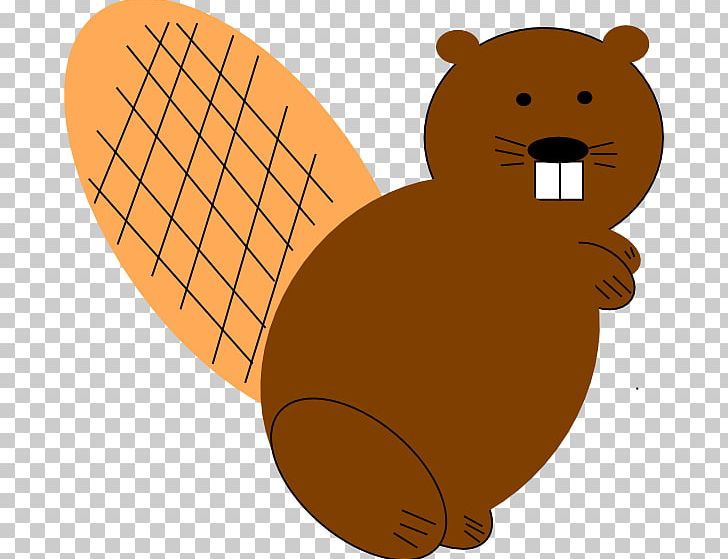 North American Beaver PNG, Clipart, Animal, Animals, Bear, Beaver, Beaver Cartoon Free PNG Download
