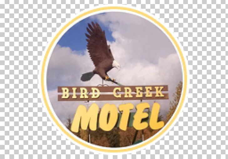 Bird Creek Motel & RV Park Hotel Expedia PNG, Clipart, Accommodation, Alaska, Bald Eagle, Bird Of Prey, Brand Free PNG Download