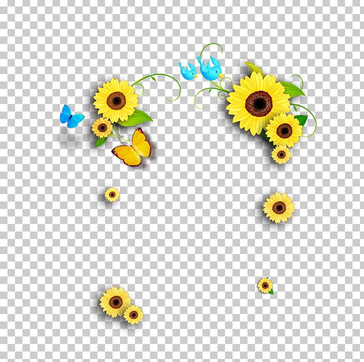 Common Sunflower Designer Computer File PNG, Clipart, Animation, Beautiful, Circle, Daisy Family, Download Free PNG Download
